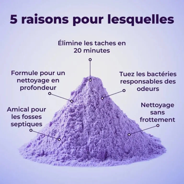 imgi_135_SGVyb18yX1JlYXNvbnMtV2h5X3RvaWxldF9mb2FtX0ZpenpDbGVhbi1GUi5qcGVn-h_960